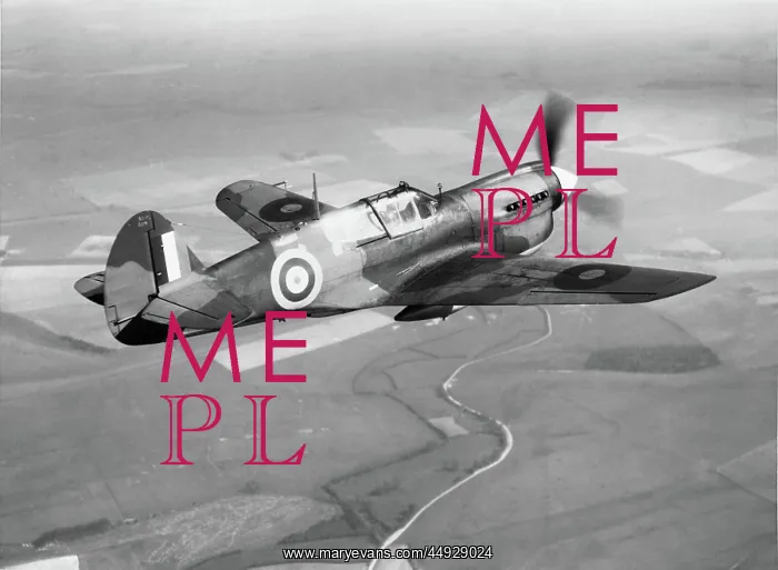  : Curtiss P-40 Warhawk