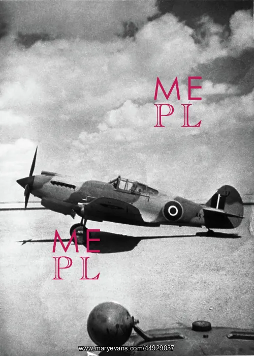  : Curtiss P-40 Warhawk