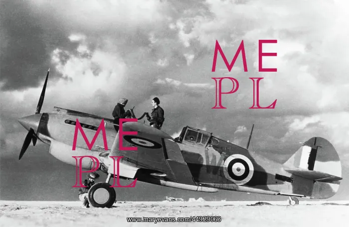  : Curtiss P-40 Warhawk