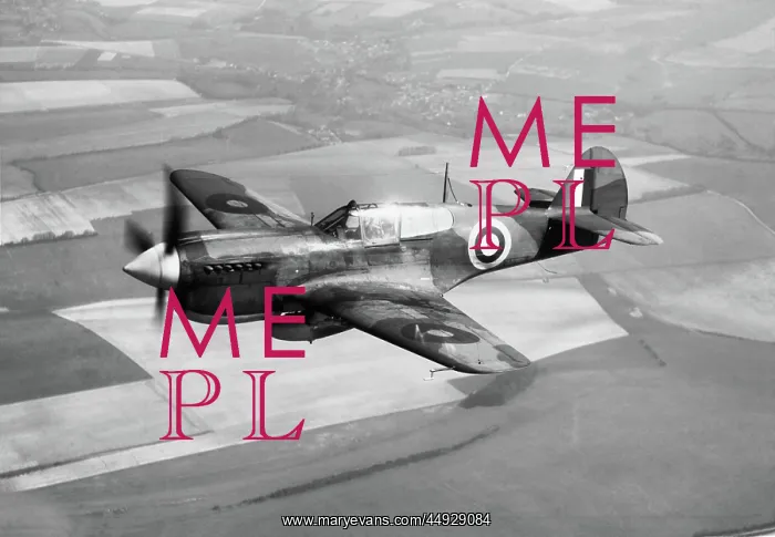  : Curtiss P-40 Warhawk