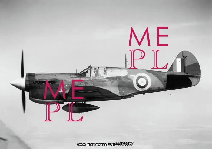 : Curtiss P-40 Warhawk