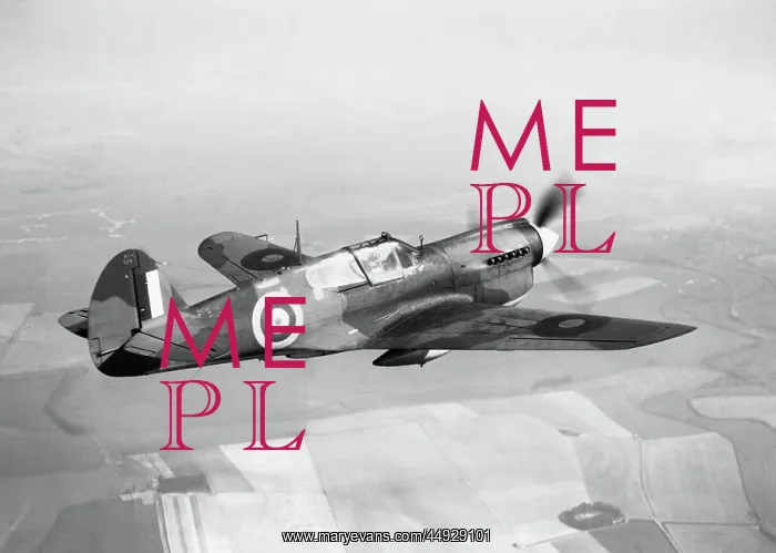  : Curtiss P-40 Warhawk