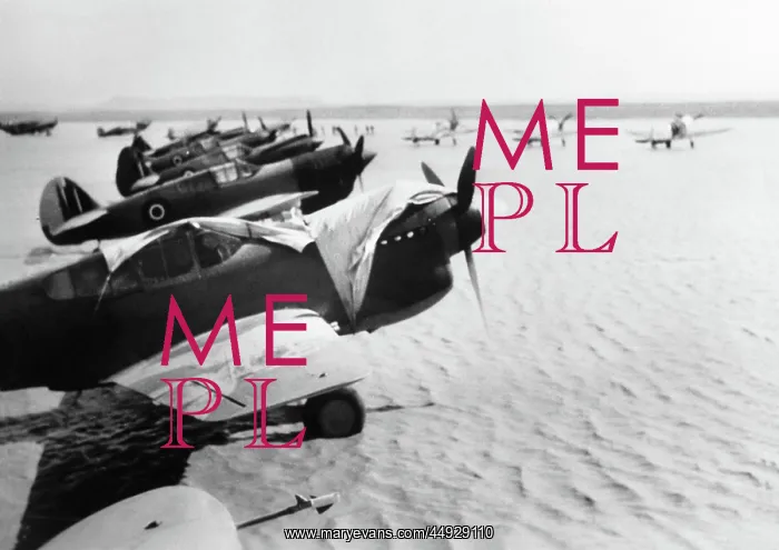  : Curtiss P-40 Warhawk