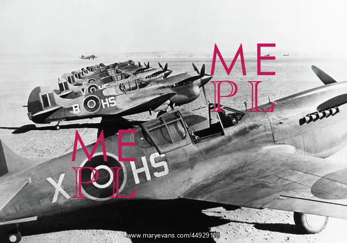  : Curtiss P-40 Warhawk