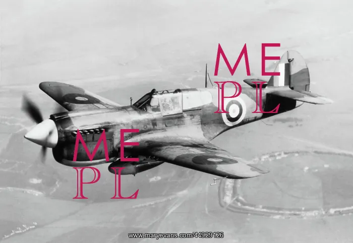  : Curtiss P-40 Warhawk