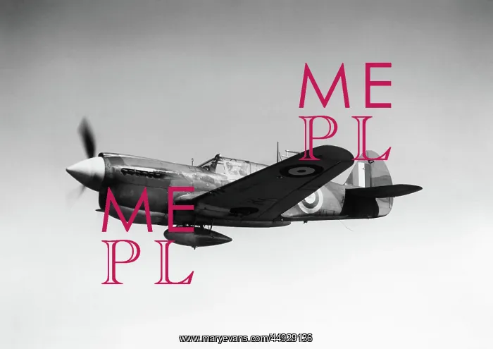  : Curtiss P-40 Warhawk