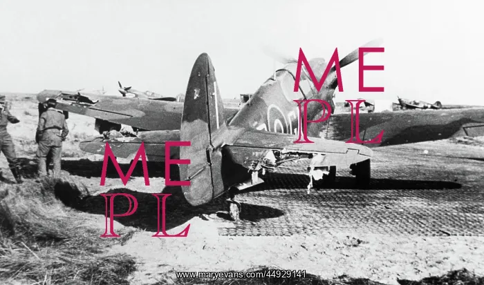  : Curtiss P-40 Warhawk