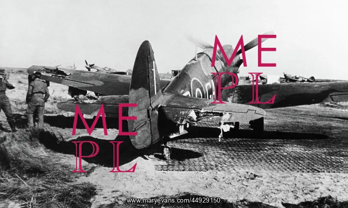  : Curtiss P-40 Warhawk