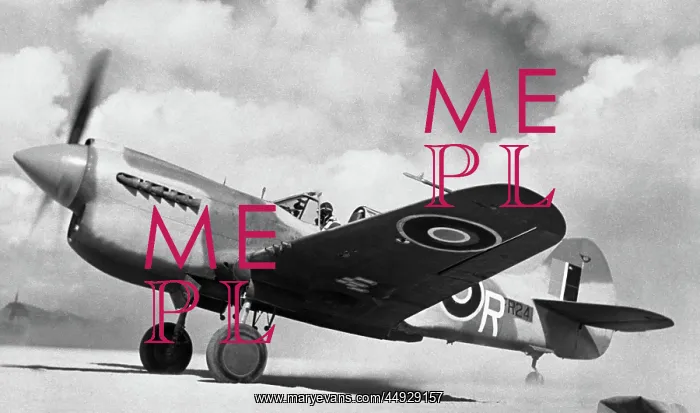  : Curtiss P-40 Warhawk