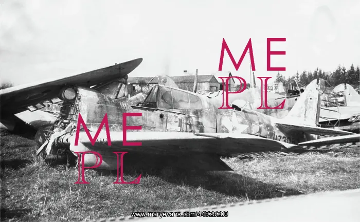  : Curtiss P-40 Warhawk