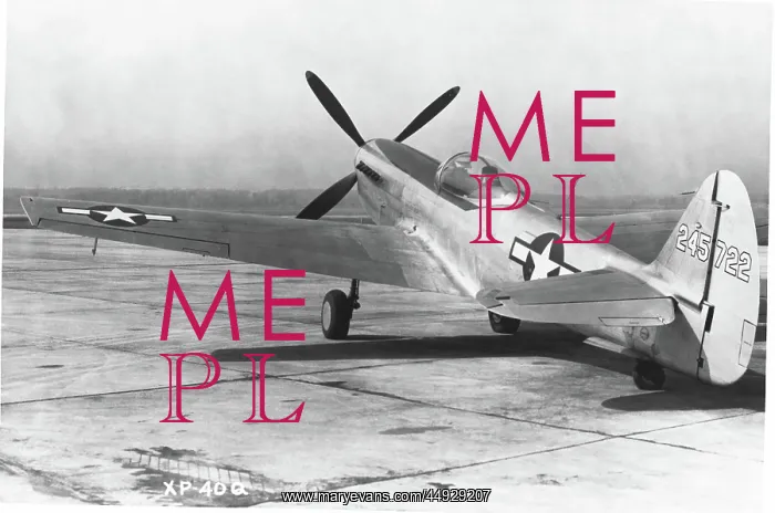  : Curtiss P-40 Warhawk