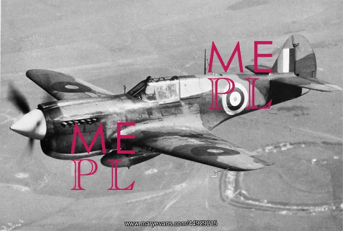  : Curtiss P-40 Warhawk