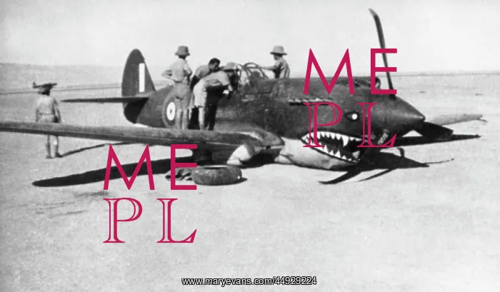  : Curtiss P-40 Warhawk