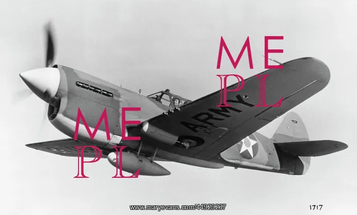 : Curtiss P-40 Warhawk