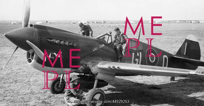  : Curtiss P-40 Warhawk