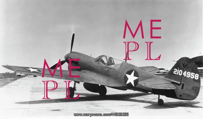  : Curtiss P-40 Warhawk