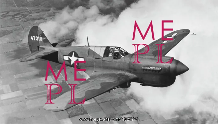  : Curtiss P-40 Warhawk