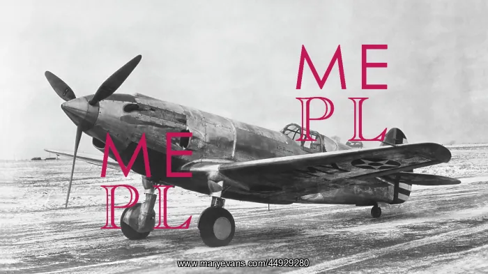  : Curtiss P-40 Warhawk