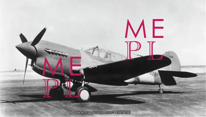  : Curtiss P-40 Warhawk