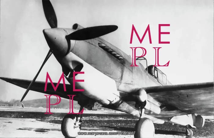  : Curtiss P-40 Warhawk