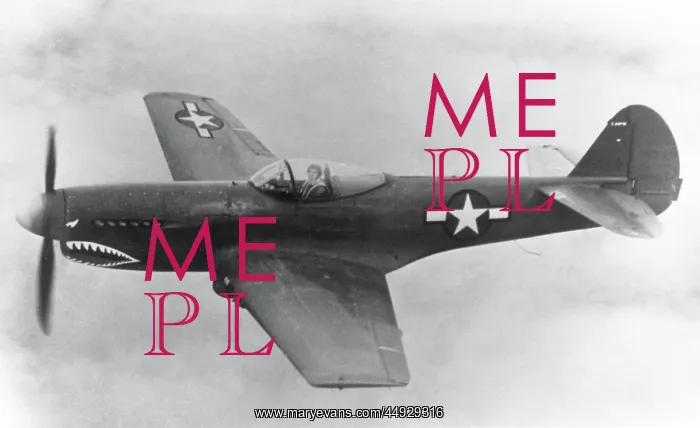  : Curtiss P-40 Warhawk