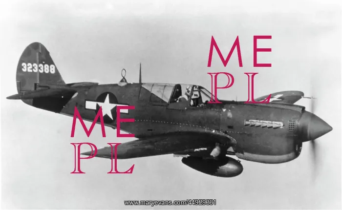  : Curtiss P-40 Warhawk
