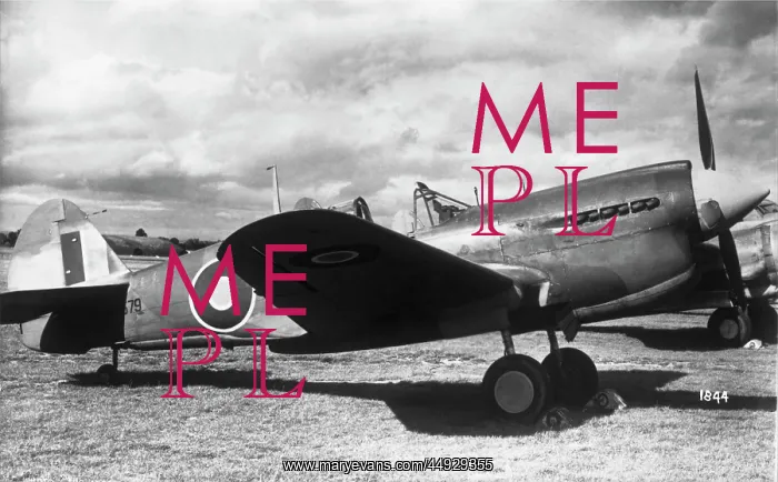  : Curtiss P-40 Warhawk
