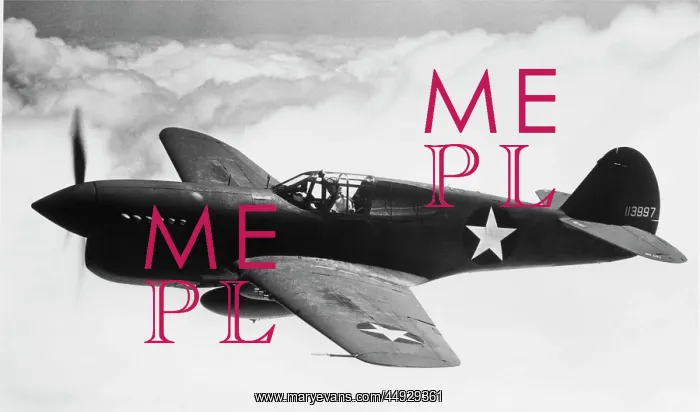  : Curtiss P-40 Warhawk