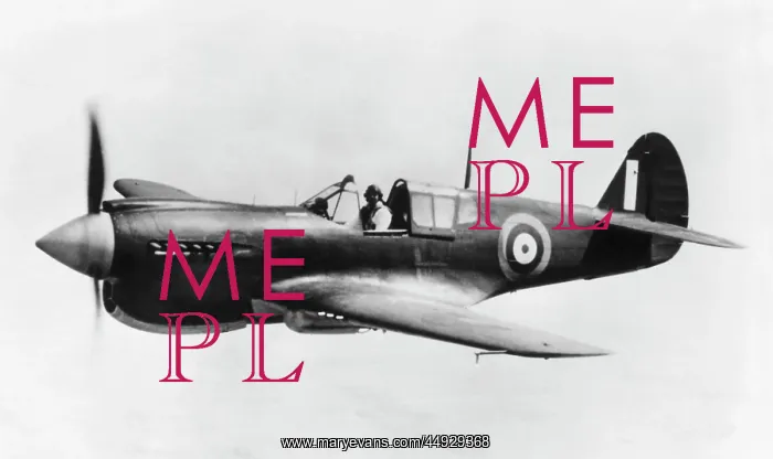  : Curtiss P-40 Warhawk
