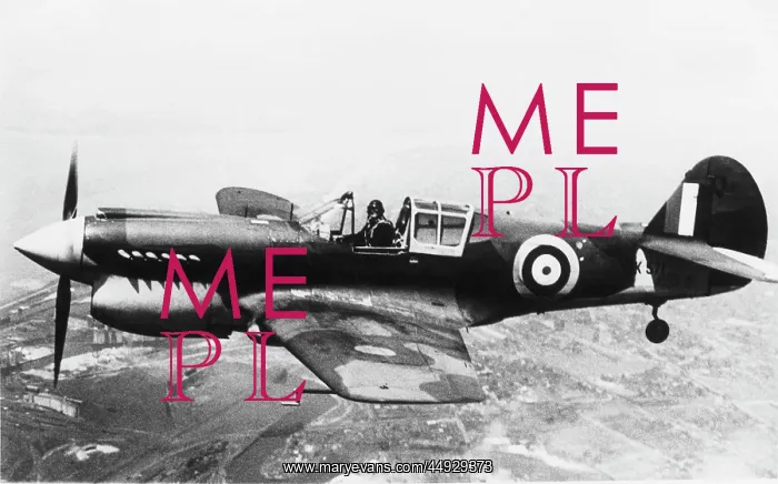  : Curtiss P-40 Warhawk