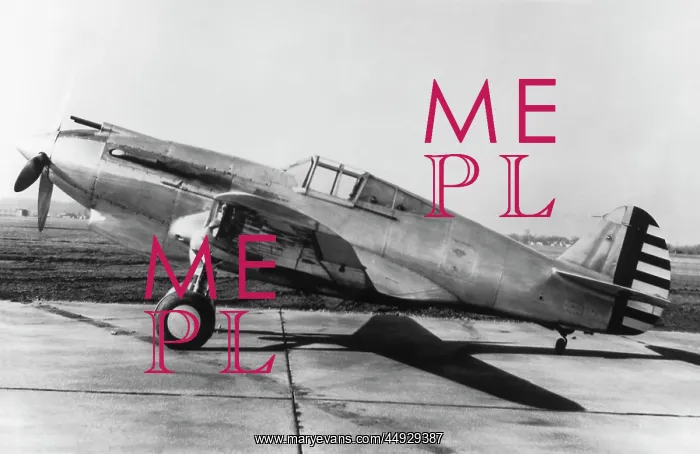  : Curtiss P-40 Warhawk