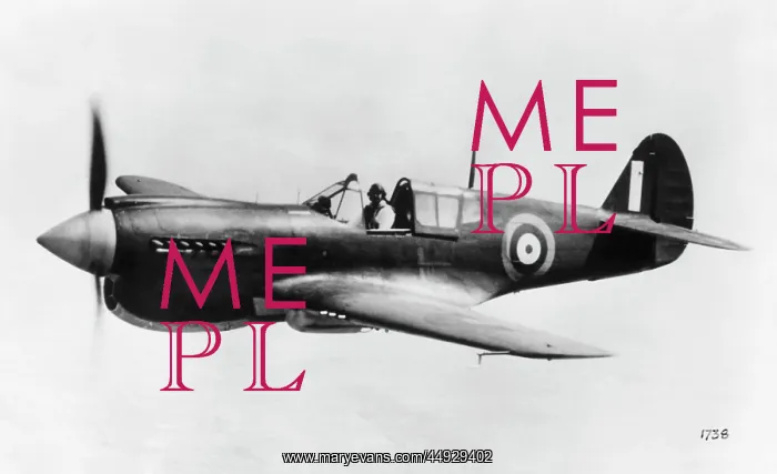  : Curtiss P-40 Warhawk