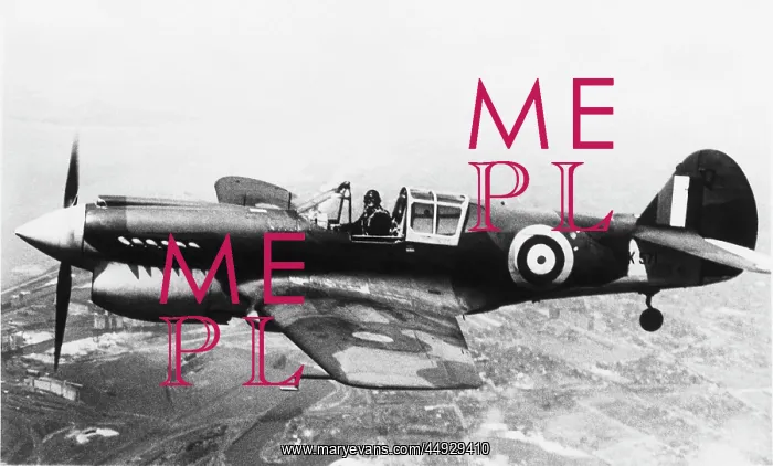  : Curtiss P-40 Warhawk
