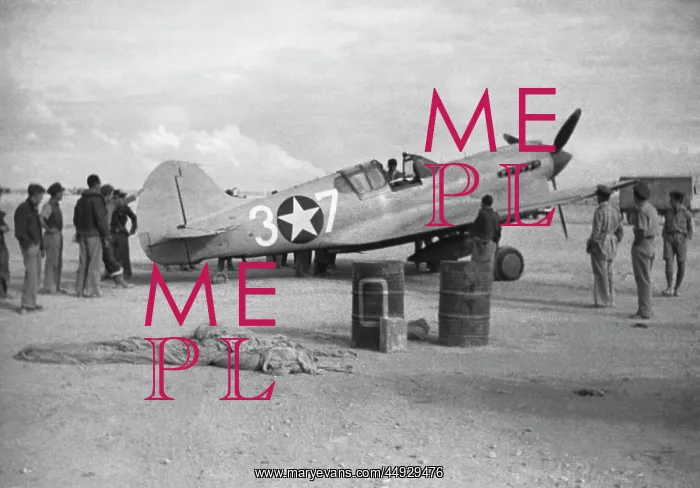  : Curtiss P-40 Warhawk