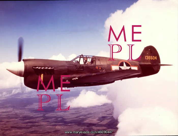 : Curtiss P-40E -known as the Warhawk in the US and the K : Curtiss P-40E -known as the Warhawk in the US and the K