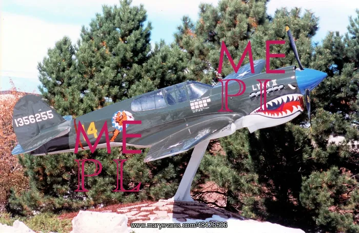 : Curtiss P-40E replica 1356255 : Curtiss P-40E replica 1356255