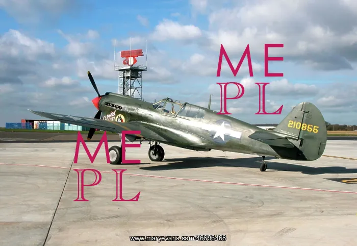 : Curtiss P-40L -most later versions of the Warhawk found : Curtiss P-40L -most later versions of the Warhawk found