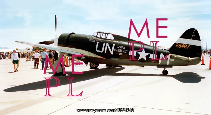 : Curtiss P-47G Thunderbolt 42-25254 : Curtiss P-47G Thunderbolt 42-25254