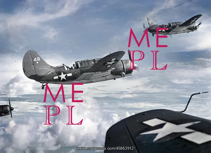 : Curtiss SB2C Helldiver -although built in large numbers? : Curtiss SB2C Helldiver -although built in large numbers?