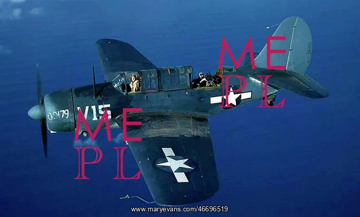 : Curtiss SB2C Helldiver -early examples had a tendency t : Curtiss SB2C Helldiver -early examples had a tendency t