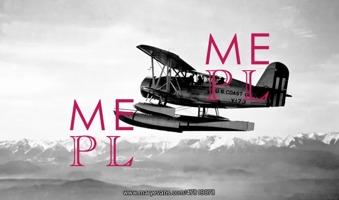 : Curtiss SOC-4 Seagull V173 : Curtiss SOC-4 Seagull V173