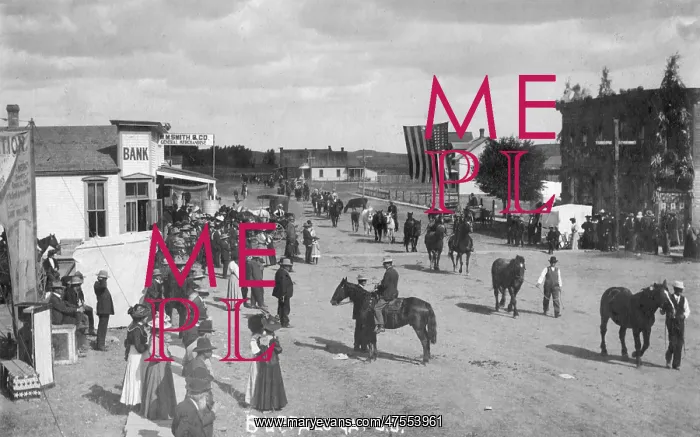  : Custer County Horse Fair, Buffalo Gap, South Dakota, USA