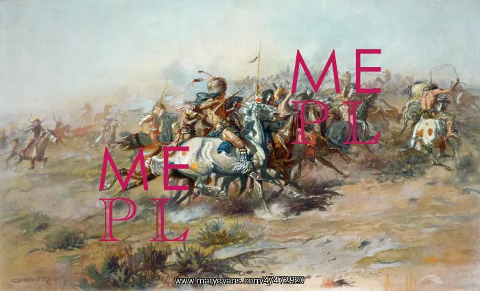 : The Custer fight : The Custer fight