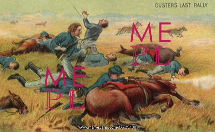 : Custer's Last Stand : Custer's Last Stand