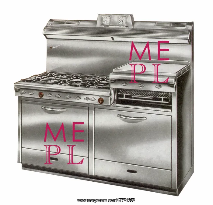  : Custom Gas Range