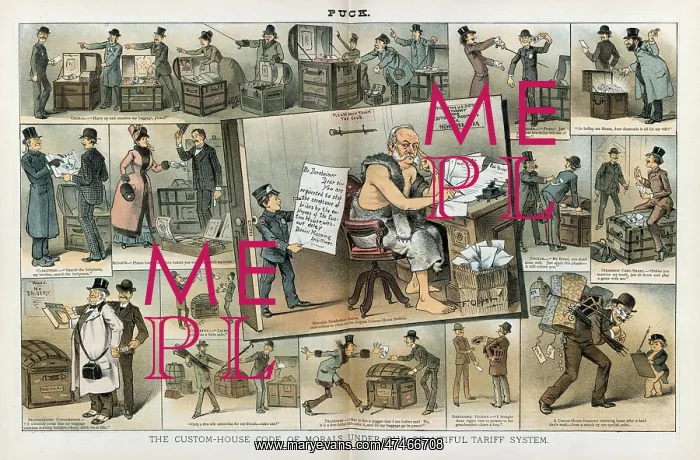 : The custom-house code of morals under our beautiful tariff s : The custom-house code of morals under our beautiful tariff s