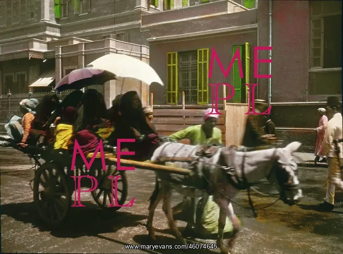 : Customary cart : Customary cart
