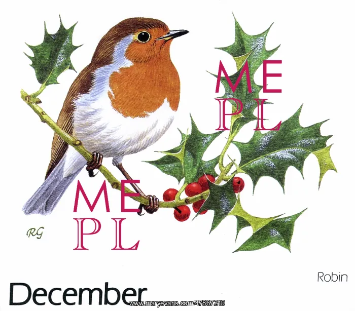 : CUSTOMS / CHRISTMAS / ROBINS : CUSTOMS / CHRISTMAS / ROBINS