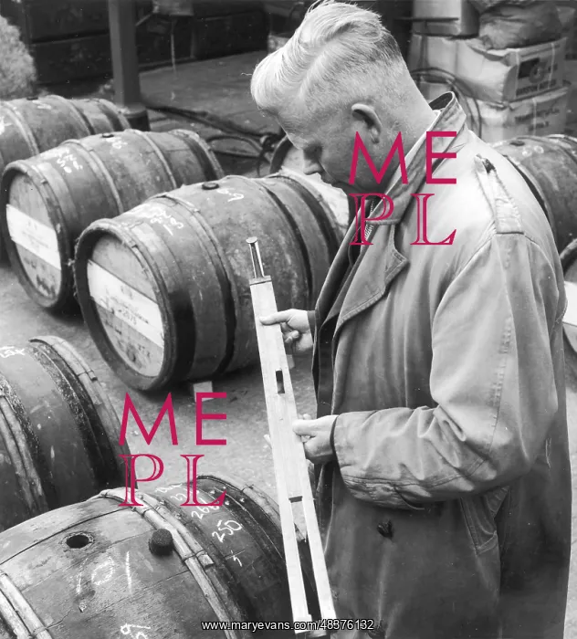 : Customs Official checks the volume of wine in a barrel : Customs Official checks the volume of wine in a barrel