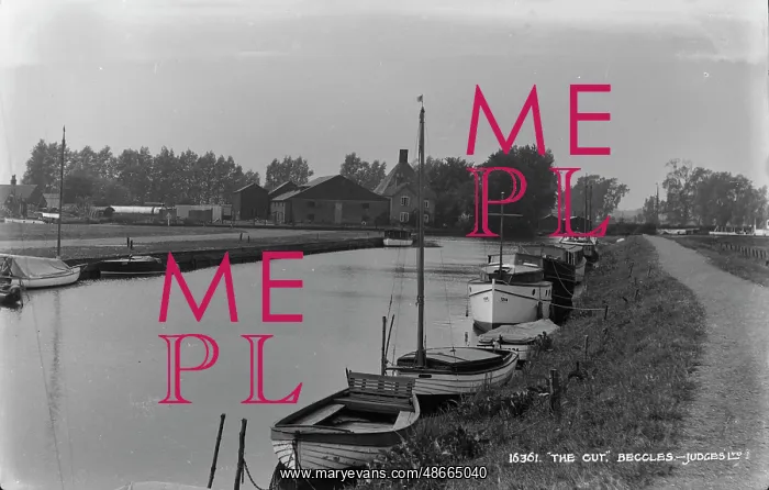 : The Cut, Beccles : The Cut, Beccles